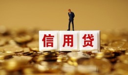 深圳10哪有个人借贷-深圳10小额贷款公司-深圳10私借空放免费上门