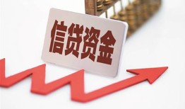 深圳10身份证贷款平台-深圳10贷款只要身份证贷款-深圳10空放贷款